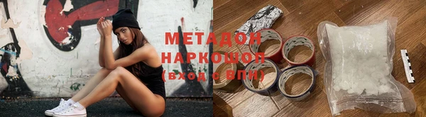 прущие грибы Тихвин