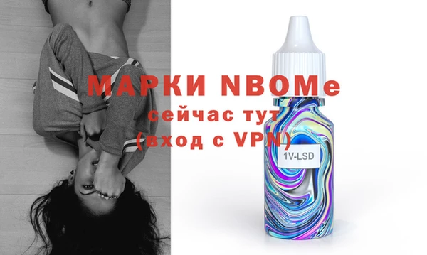прущие грибы Тихвин