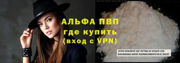 спиды Волоколамск