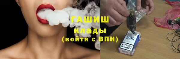 прущие грибы Тихвин
