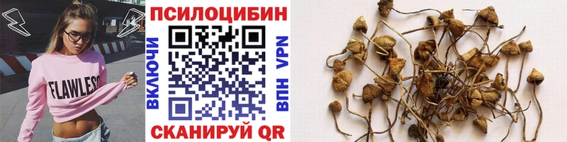 сайты даркнета клад Кандалакша Псилоцибиновые грибы ЛСД купить закладку